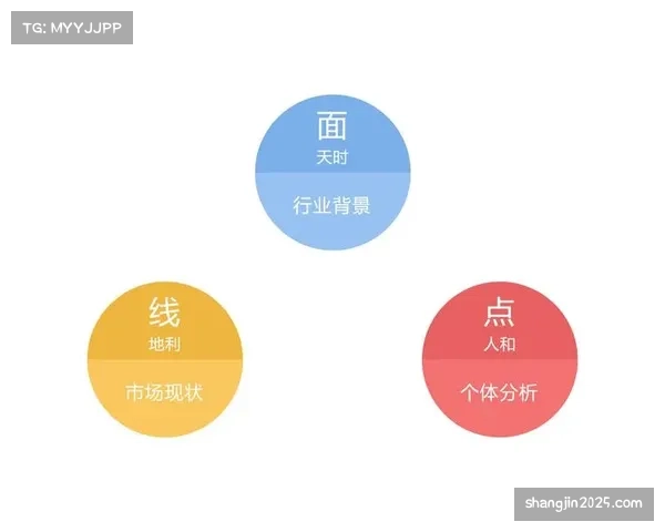 定位球数据分析服务市场价值过去三年增长200%